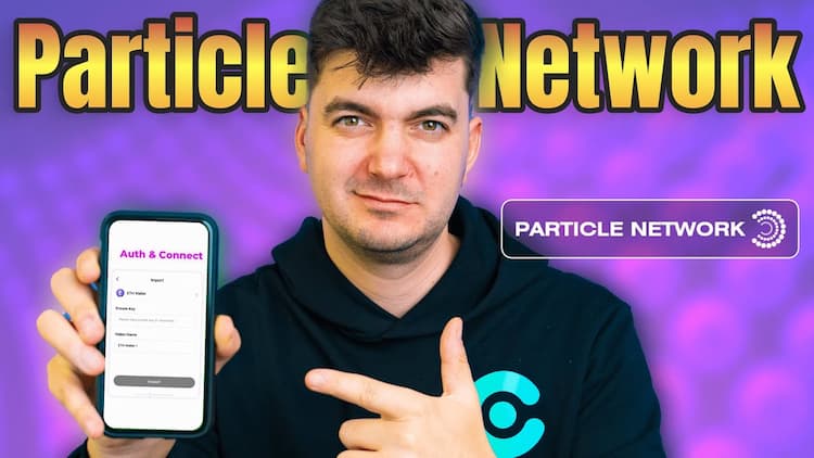 Particle Network Project Review.